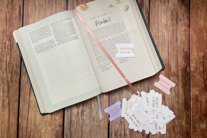 DIY 66 book Bible Tabs large print, easy to read print and cut digital download